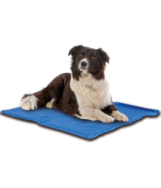 50x40CM KÜHLMATTE KÜHLKISSEN FÜR HUNDE TIERE
