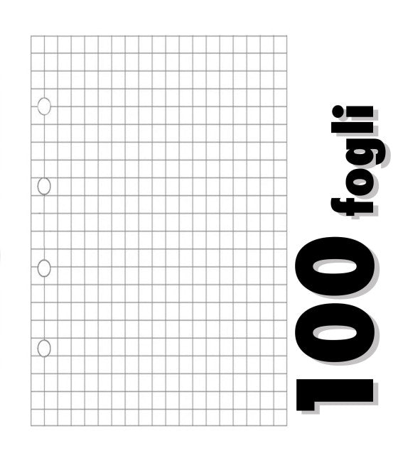 100 PERFORIERTE BLÄTTER FÜR RINGBUCH NOTIZBUCH A4 QUADRATE 5MM SCHULE