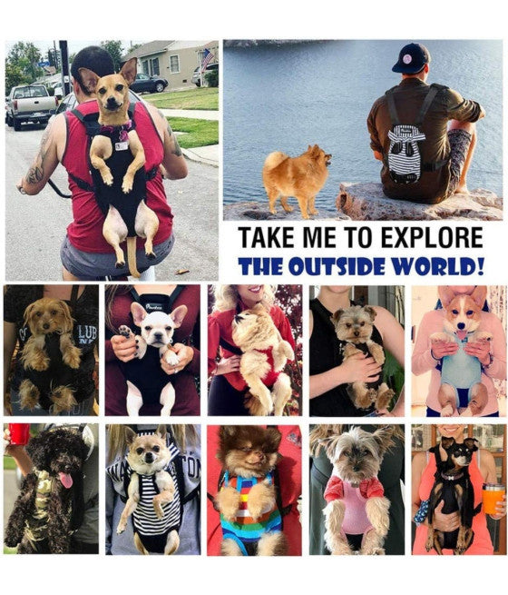 ATMUNGSAKTIVE HAUSTIER RUCKSACK HUNDE VERSTELLBARE MESH TG.M SCHWARZ
