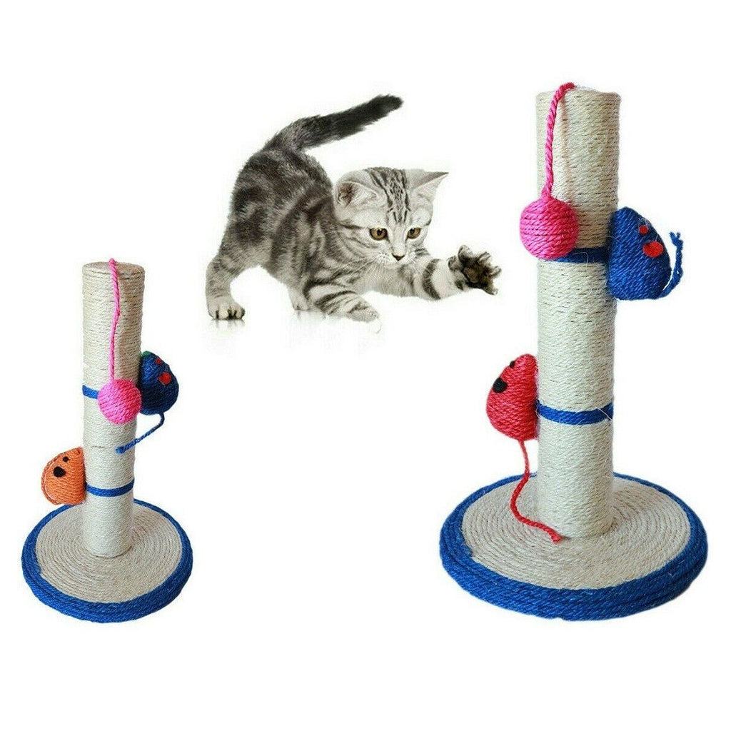 ARTIGLI GATTO 42X24CM