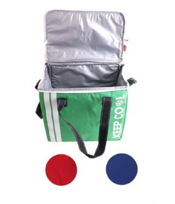 32X22X27CM KÜHLTASCHE KÜHLER LUNCHBOX 19LT STRAND MAR