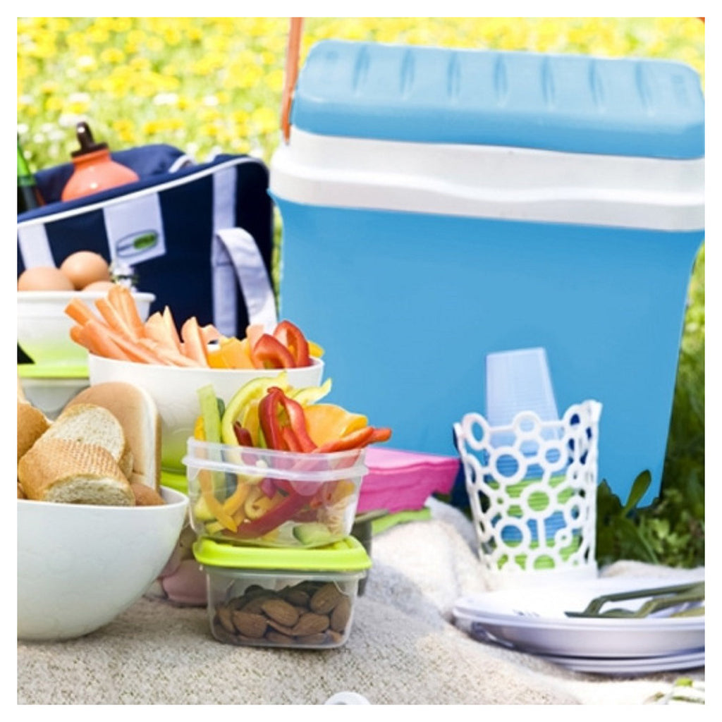 22.5LT TRAGBARER KÜHLSCHRANK BLAU AUTO WOHNMOBIL PICKNICK CAMPING