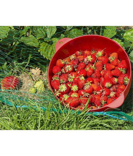 2PZ RETE POLIETILENE ANTI ANIMALI 1X10MT VERDE SCHUTZ