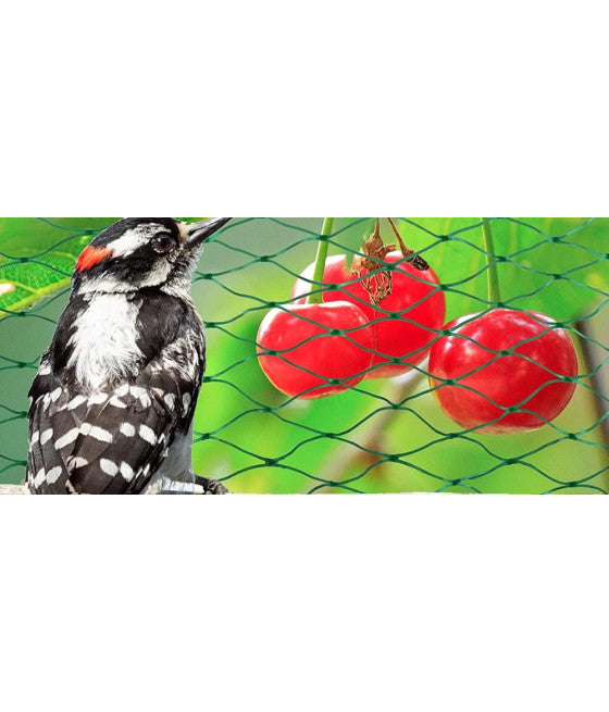 2PZ RETE POLIETILENE ANTI ANIMALI 1.5X10MT VERDE SCHUTZ