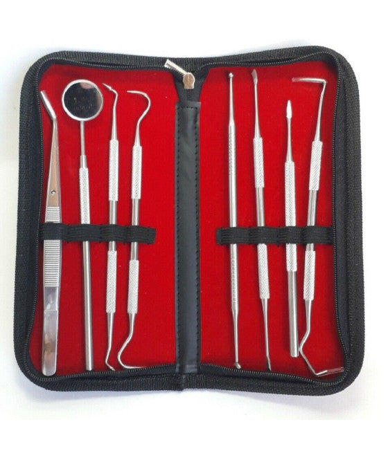 8 DENTAL INSTRUMENTE