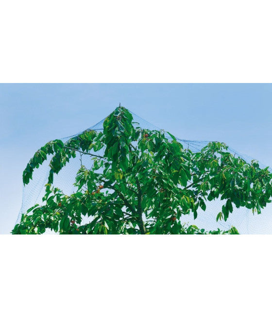 4 X 6 METER GRÜNES GEMÜSEGARTEN-VOGELSCHUTZNETZ