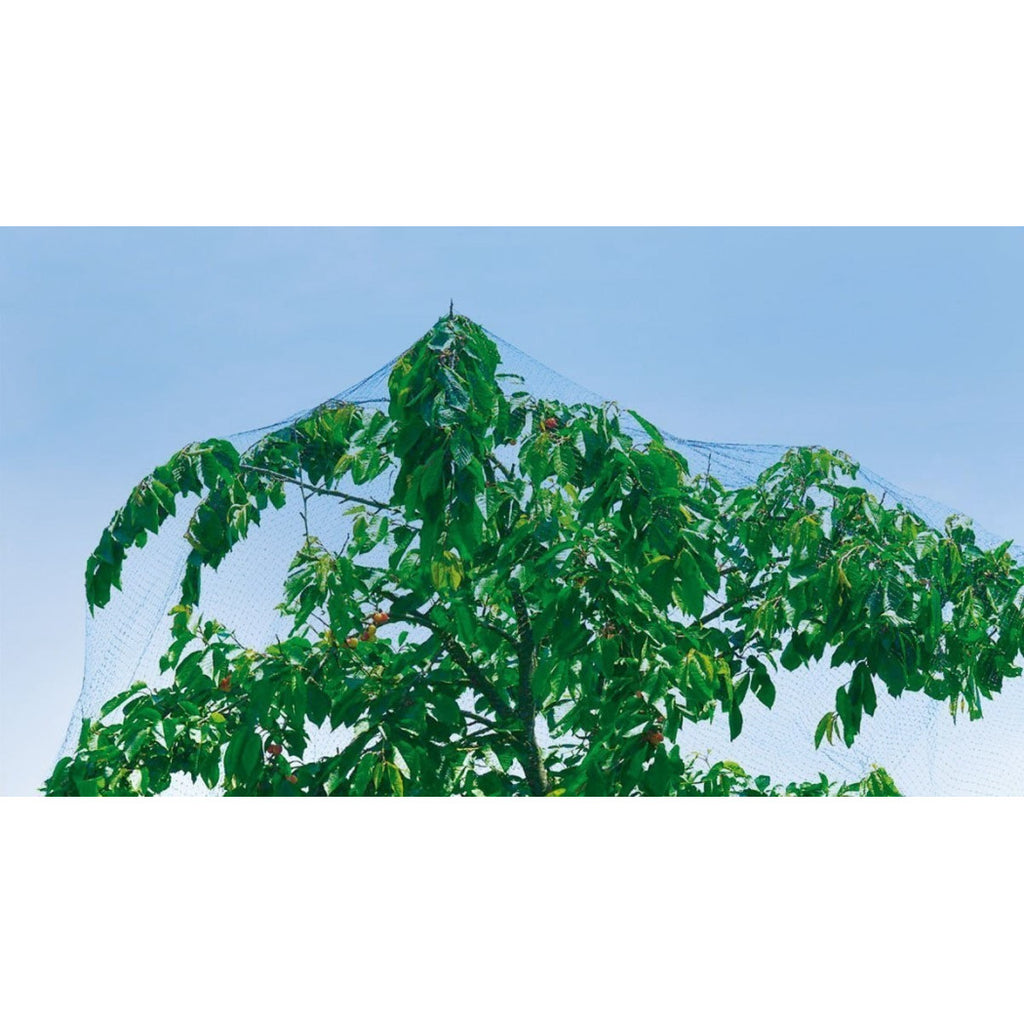 4 X 6 METER GRÜNES GEMÜSEGARTEN-VOGELSCHUTZNETZ