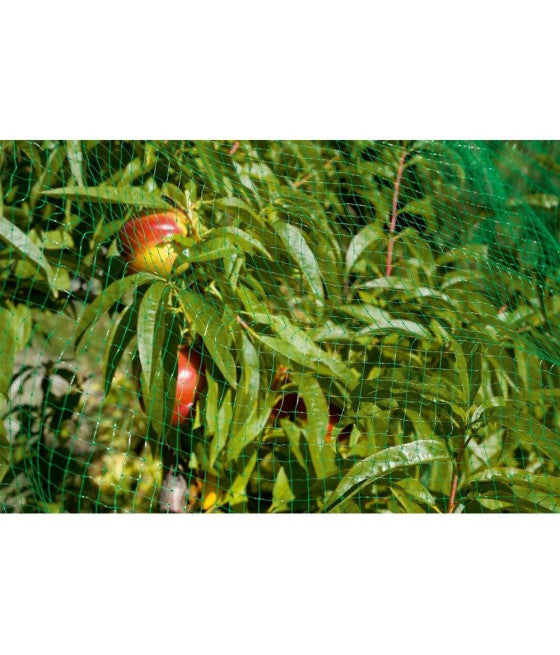 4 X 6 METER GRÜNES GEMÜSEGARTEN-VOGELSCHUTZNETZ