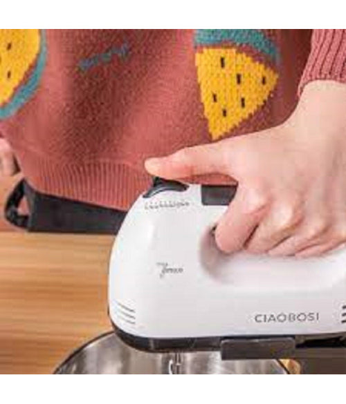 100W ELEKTRISCHER SCHNEEBESEN MIT STAHLEIMER TX8175